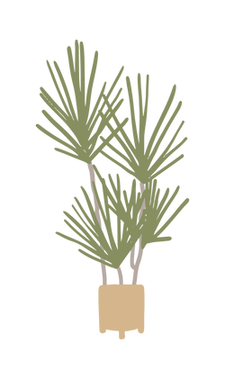 Drawing of a plant